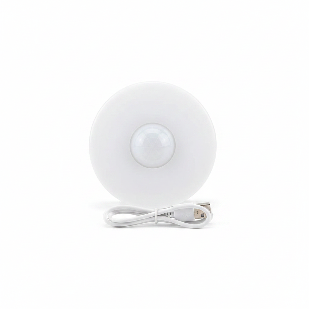 Lampe LED détecteur de mouvement sans fil